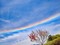 “虹色の雲”「環水平アーク」が関東上空に出現　SNSで「自然現象って神秘的」「綺麗すぎて怖い……」など反響続々